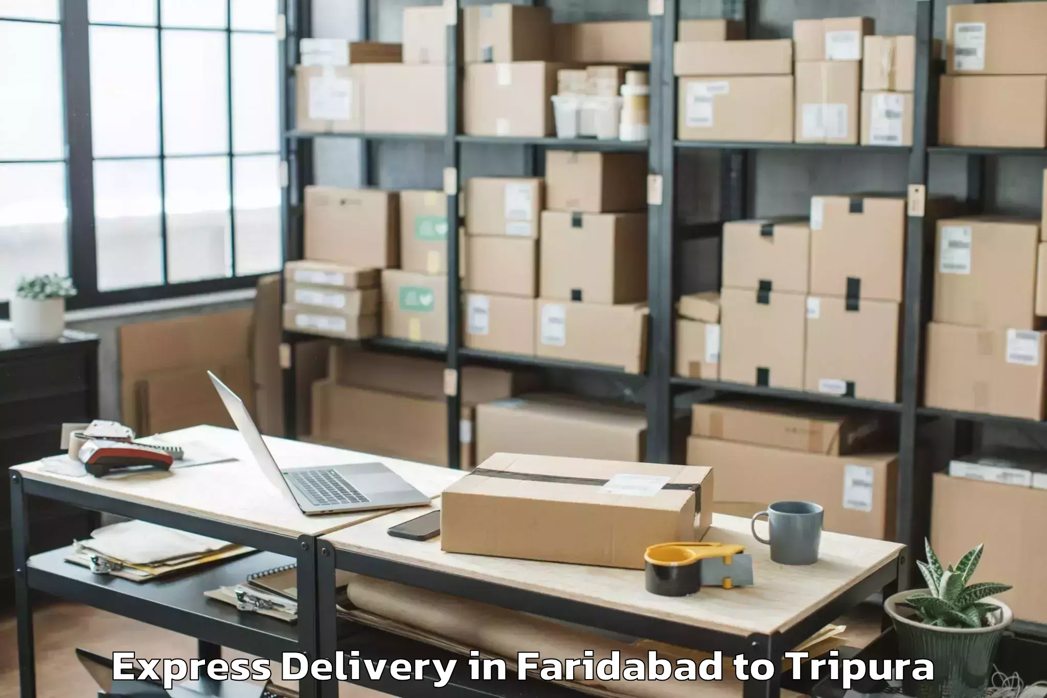 Book Your Faridabad to Damchhara Express Delivery Today